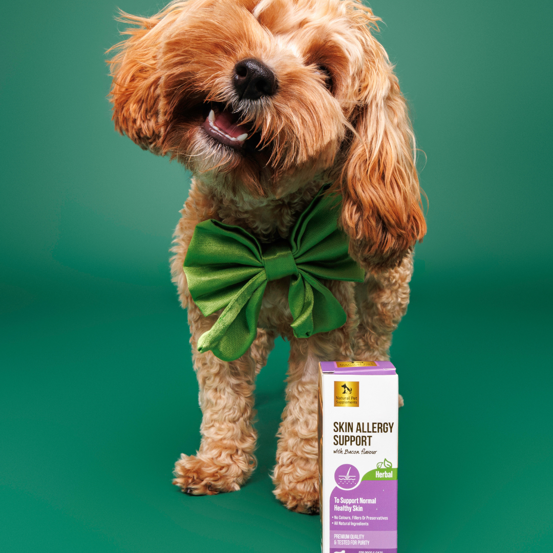 Skin Allergy Support