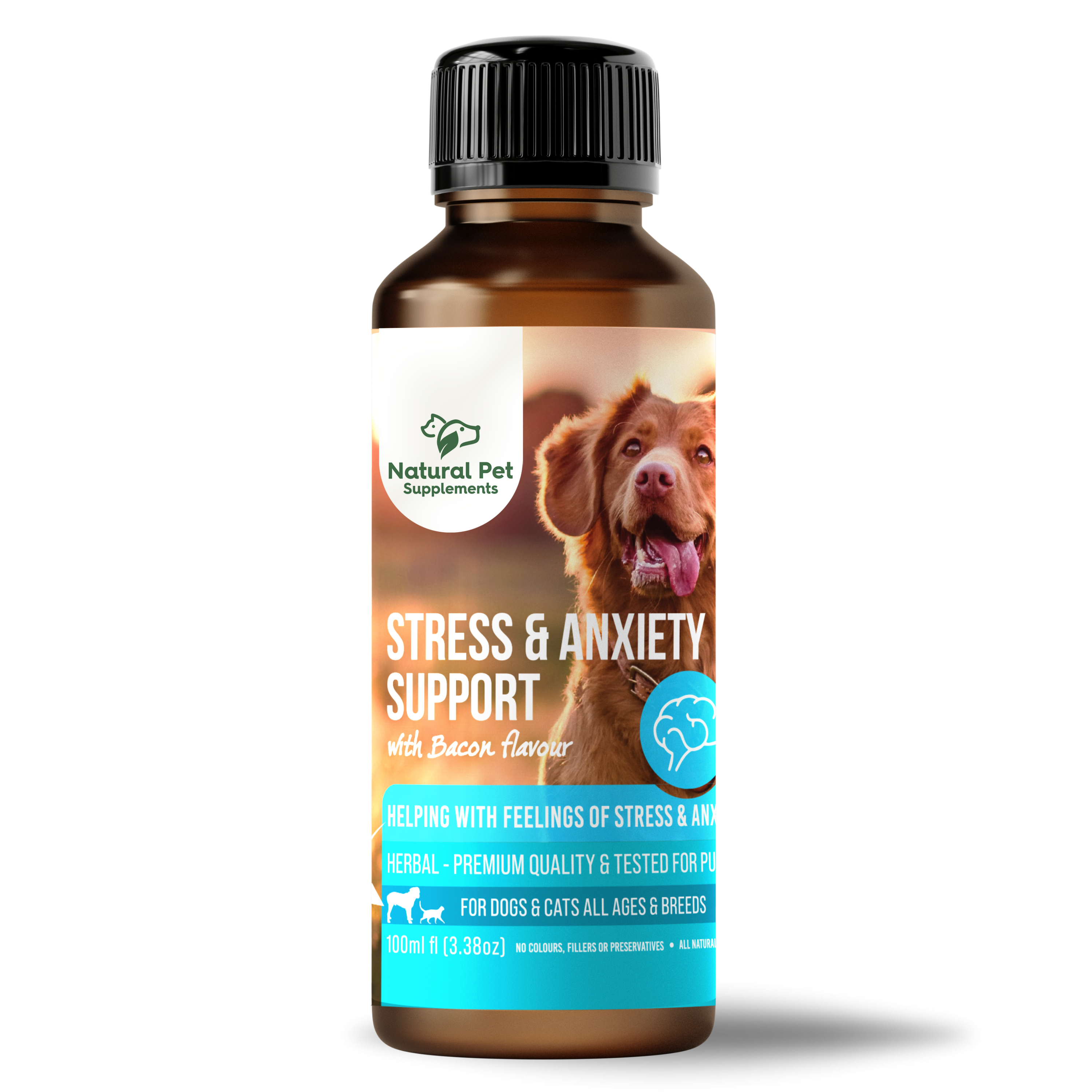 Stress & Anxiety Support