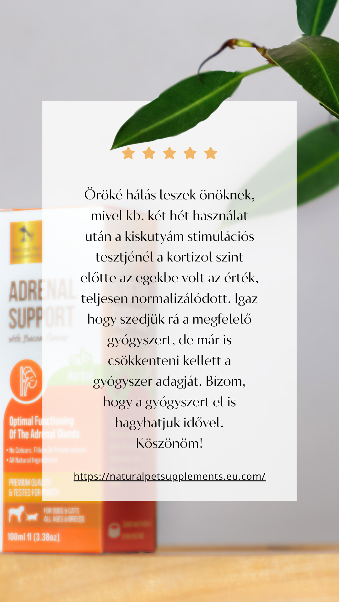 Adrenal Support