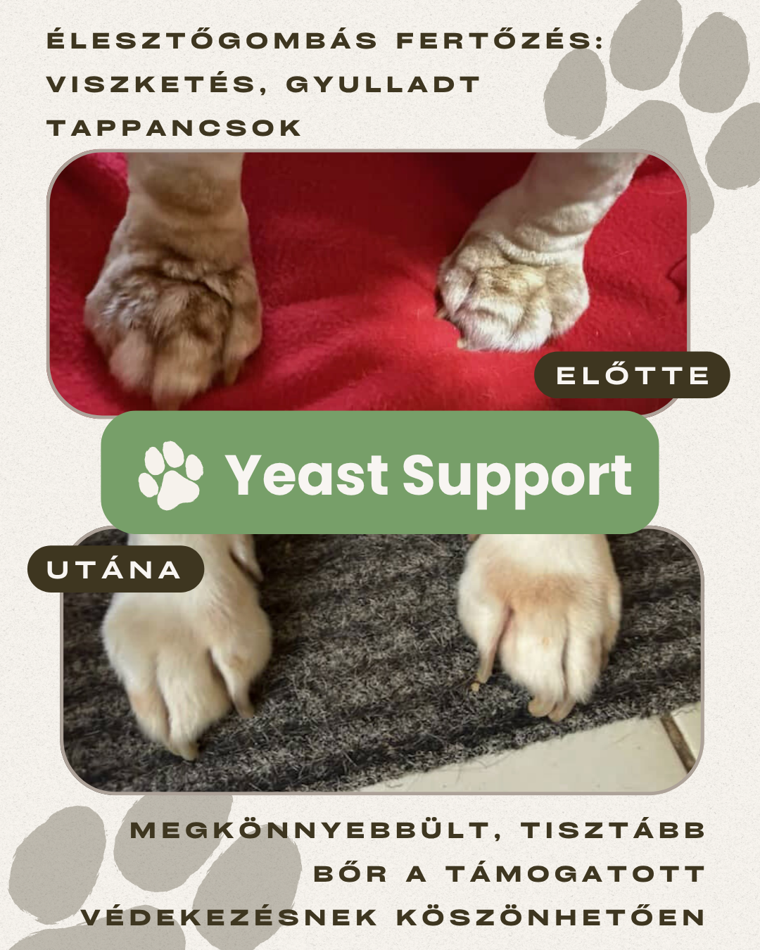 Yeast Support
